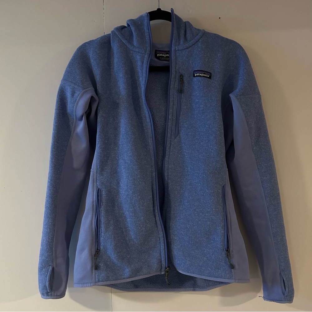 Patagonia Light Blue Hooded Fleece Jacket
